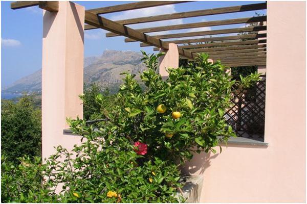 Hotel Martino Маратеа Екстериор снимка