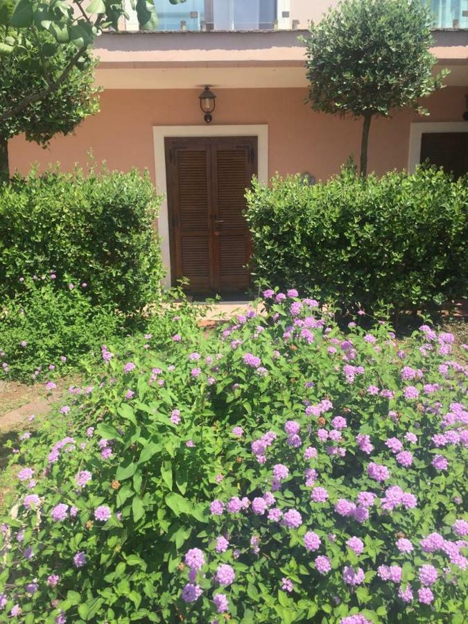 Hotel Martino Маратеа Екстериор снимка